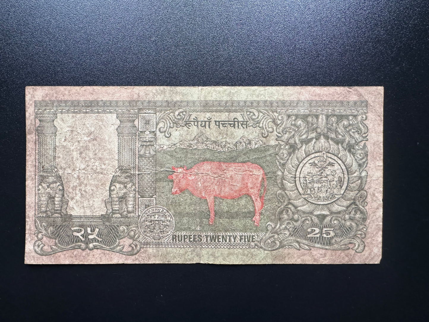 Nepal 25 Rupees Banknote 1997 Old Circulated Commemorative Bank Bills p-41