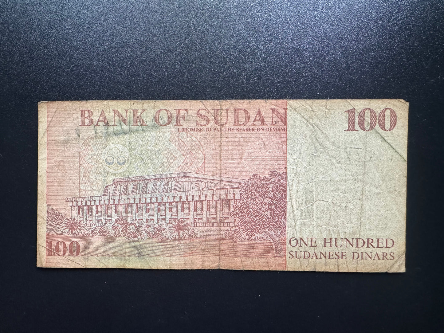 Sudan 100 Dinars Banknote 1994 old Circulated SDD Paper Money Bank Bill P-56
