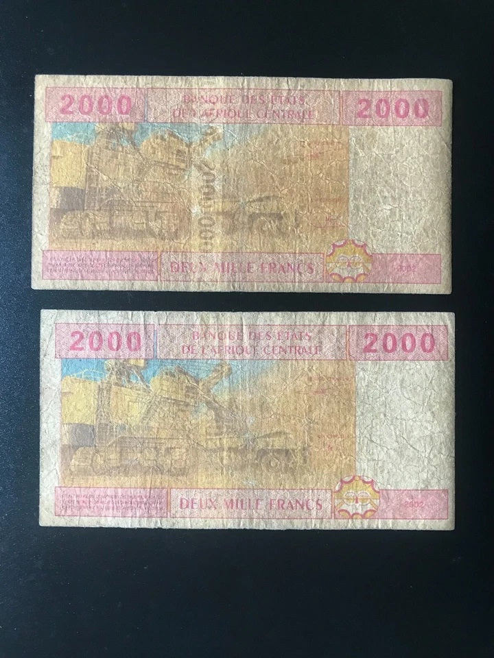Central African 2000 Francs Banknotes Cameroon & Central Africa Bills 2Pcs/Lot