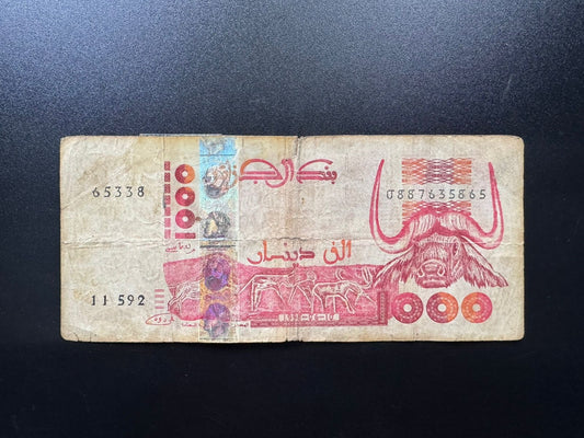 Algeria 1000 Dinars Banknote 1998 old Circulated Paper Money Bank Bill P-142b(2)