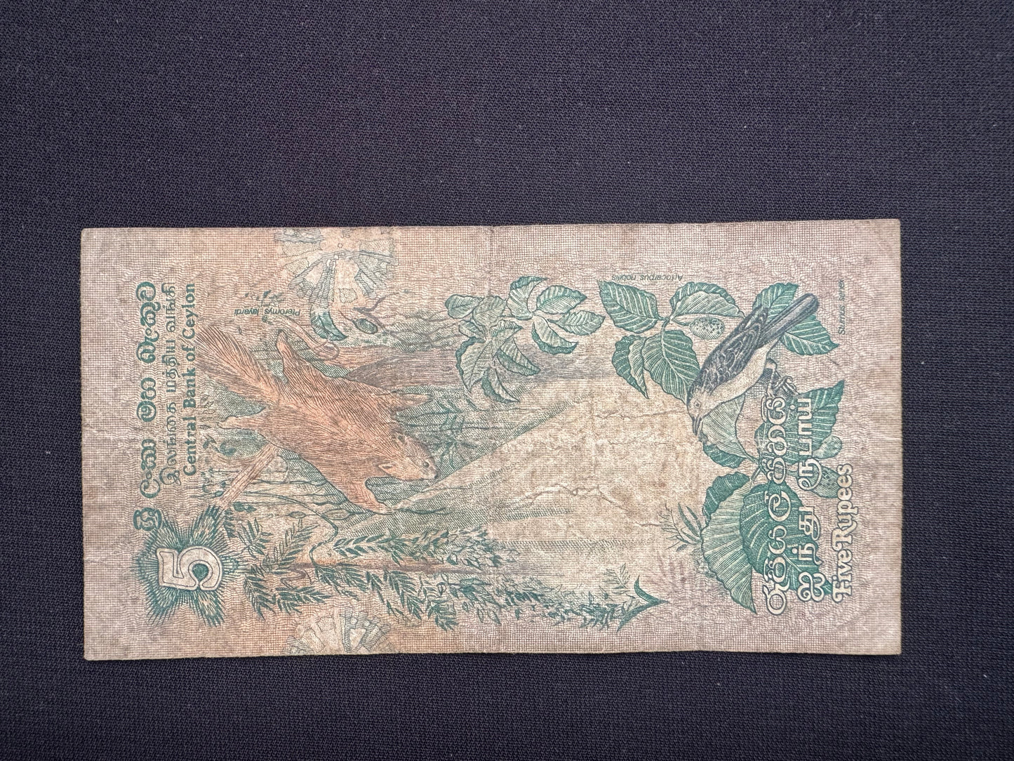 Ceylon 2-100 Rupees Banknotes 1979 Old fauna floral series Bills 6Pcs/ Full Set