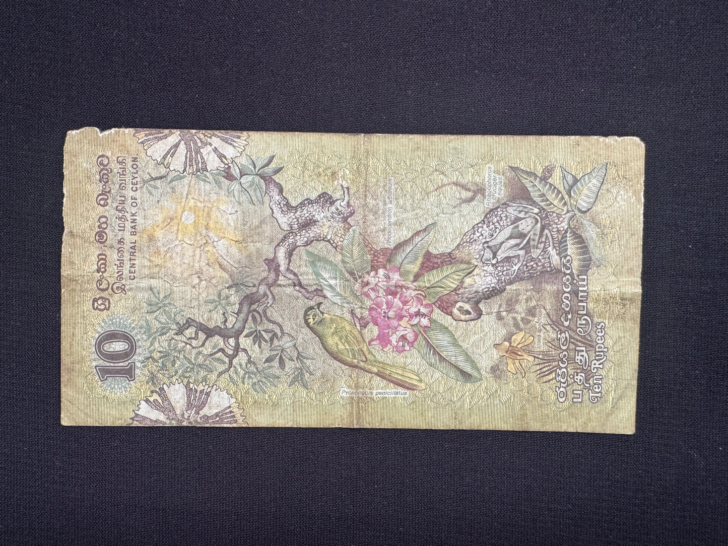 Ceylon 2-100 Rupees Banknotes 1979 Old fauna floral series Bills 6Pcs/ Full Set