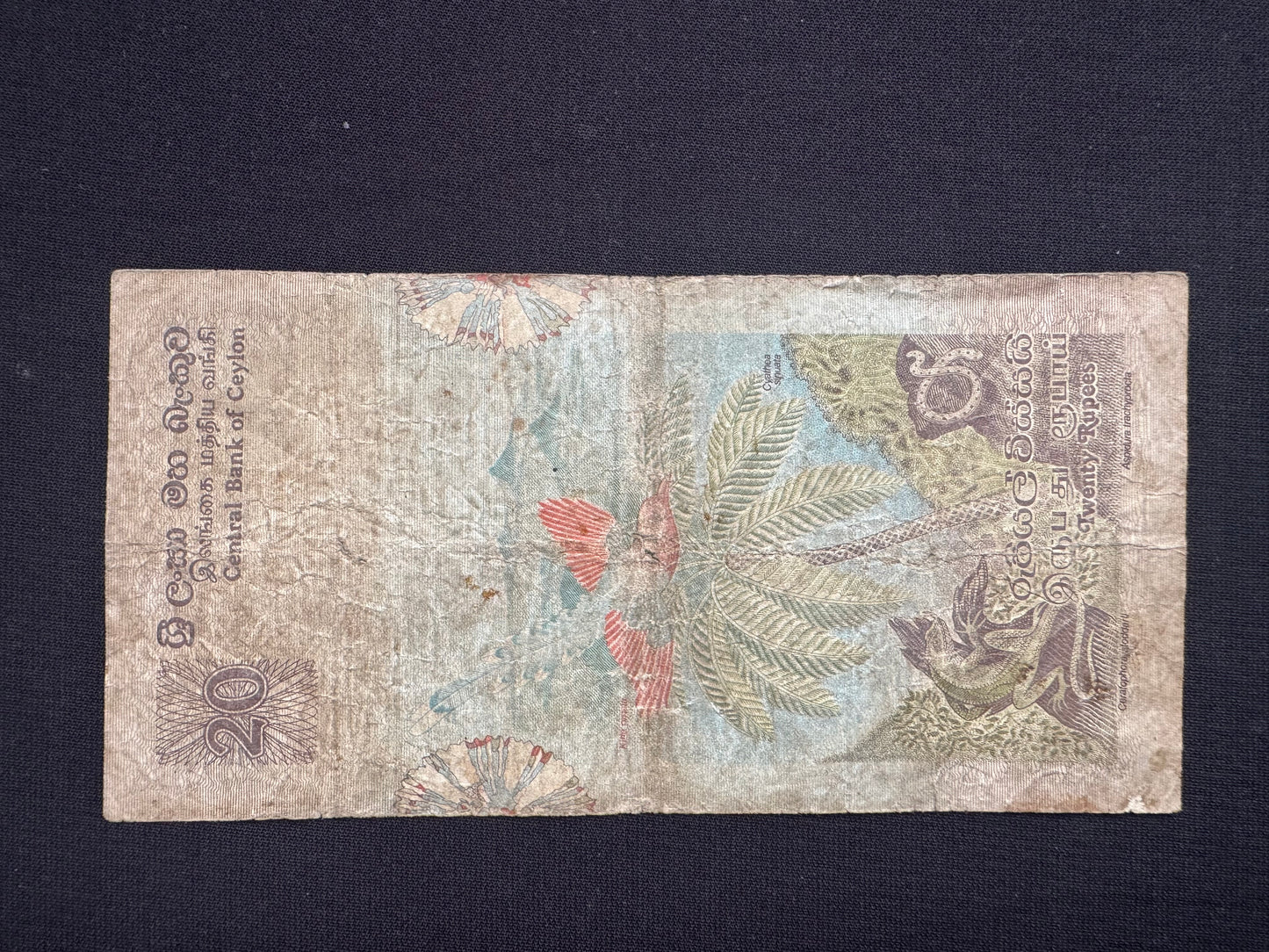 Ceylon 2-100 Rupees Banknotes 1979 Old fauna floral series Bills 6Pcs/ Full Set