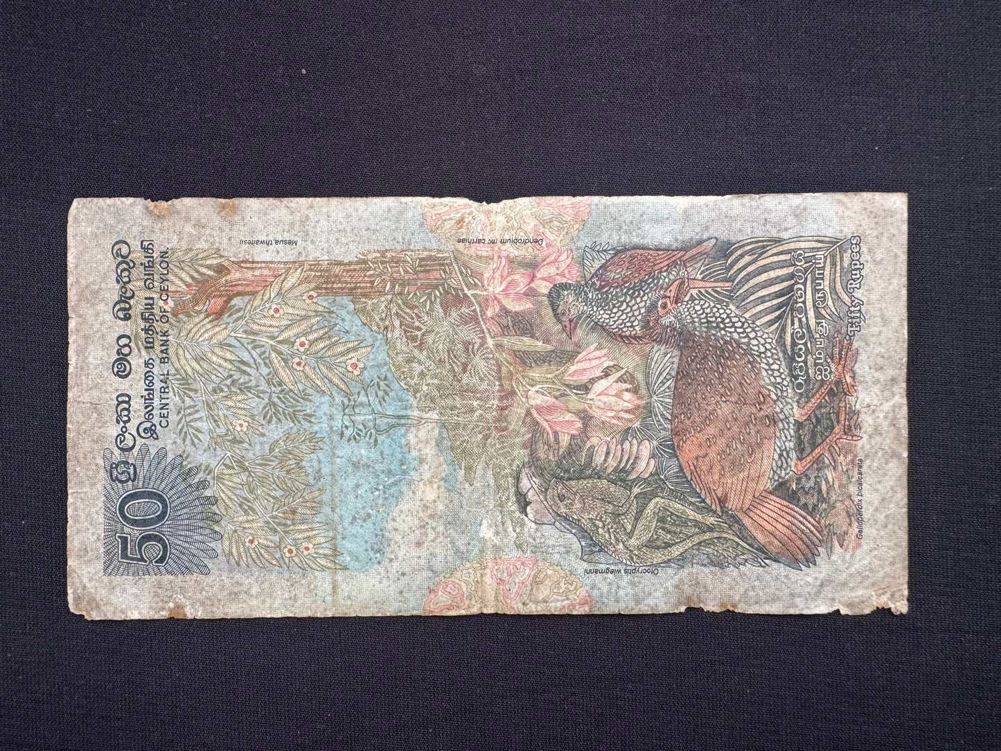 Ceylon 2-100 Rupees Banknotes 1979 Old fauna floral series Bills 6Pcs/ Full Set