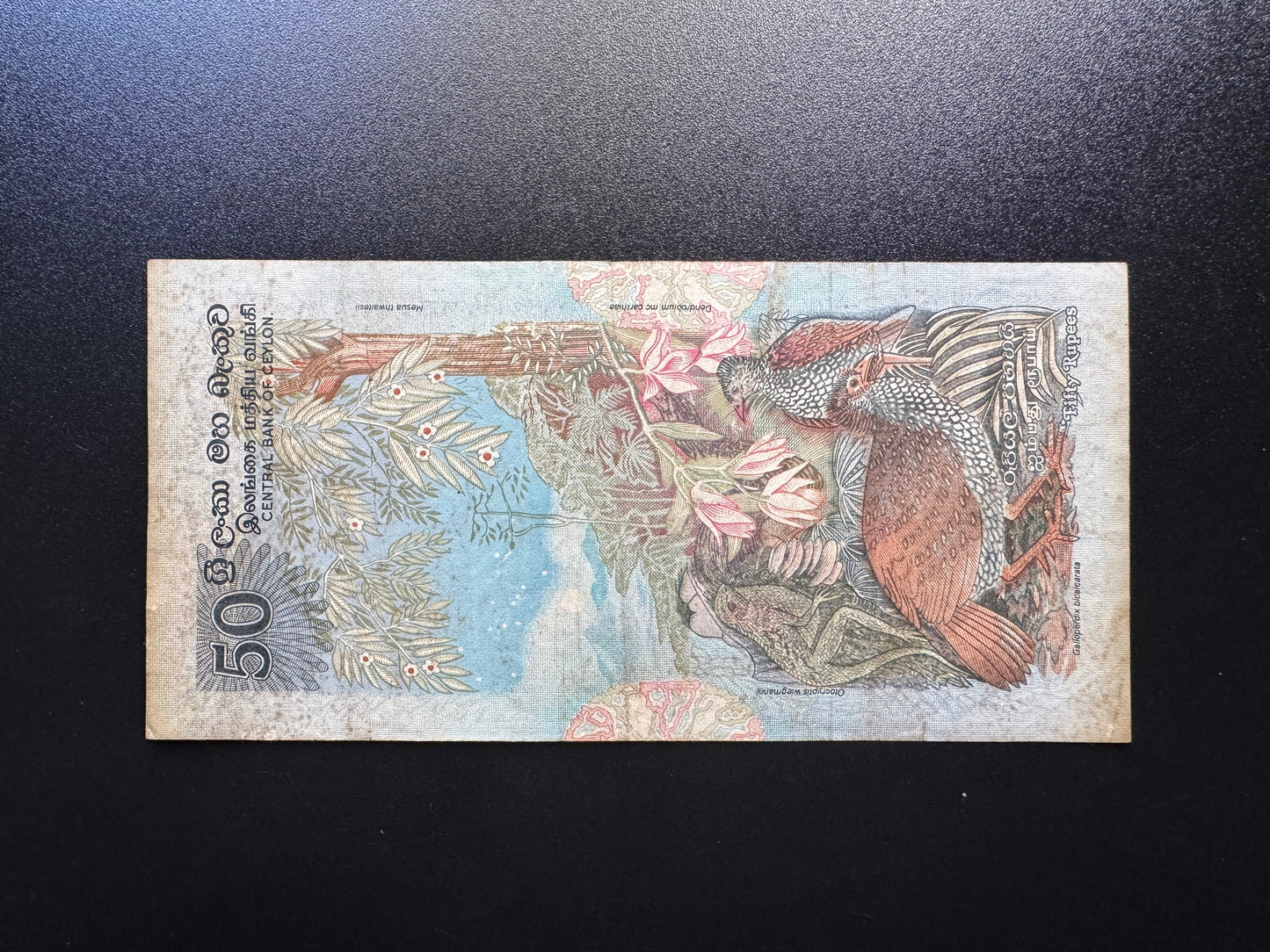 Ceylon 50 Rupees Banknotes 1979 Old Rare fauna floral series Bank Bills P-87