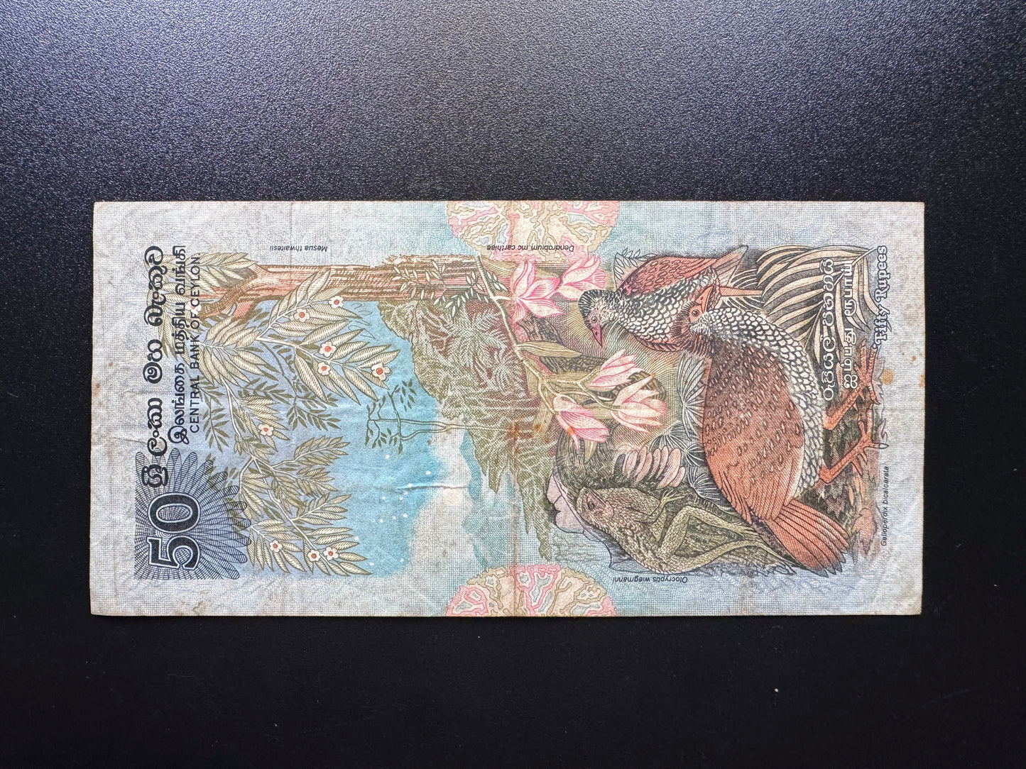 Ceylon 50 Rupees Banknote 1979 Old fauna floral S/N Fancy Repeat Numbers 11/228866 Bills