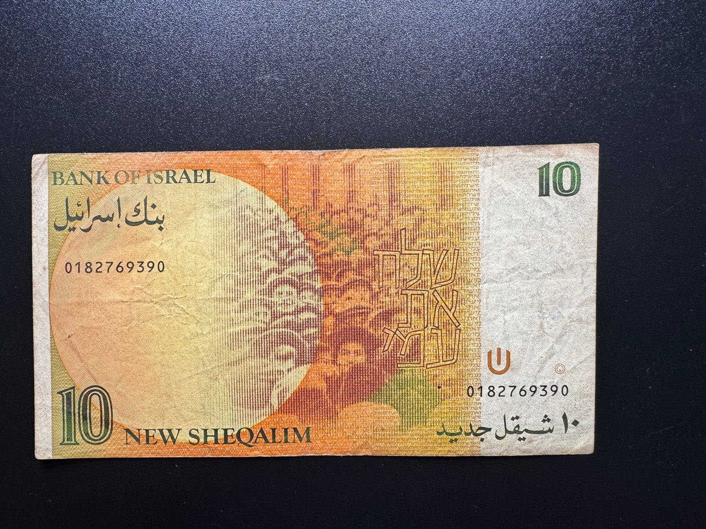 Israel 10 New Shekel Banknote 1985 Old Circulated Bank Bill Golda Meir P-53