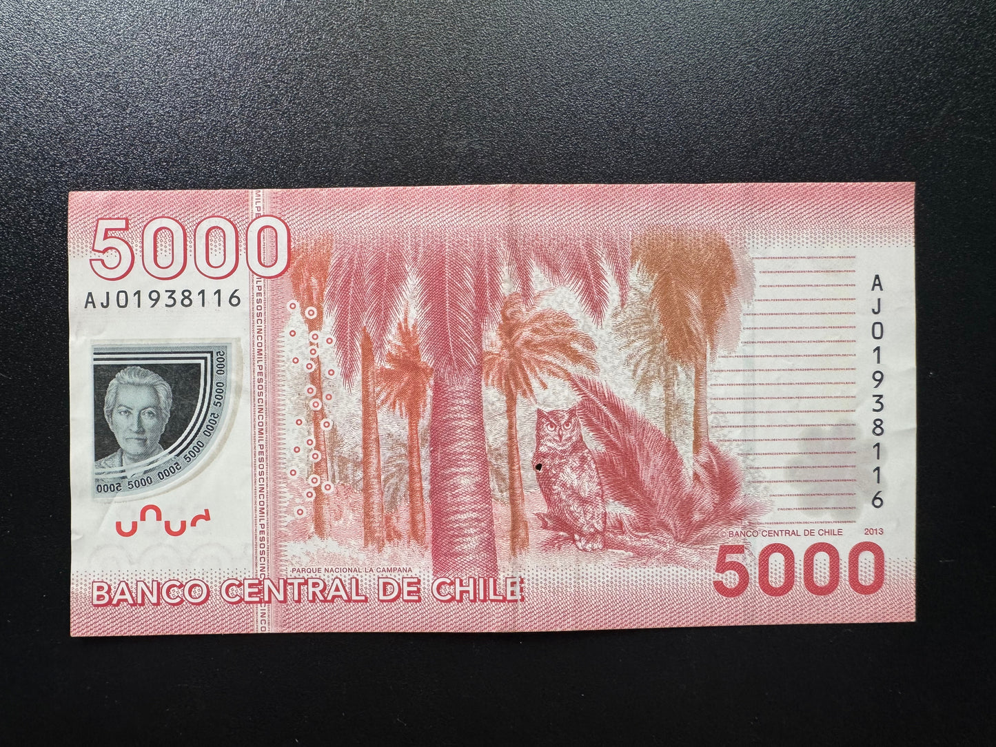Chile 5000 Peso Banknote 2013 VF Polymer Paper Money Bank Bill P-163